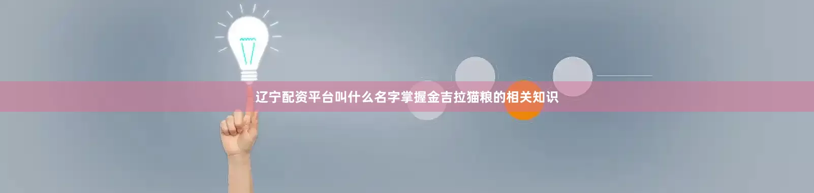 辽宁配资平台叫什么名字掌握金吉拉猫粮的相关知识