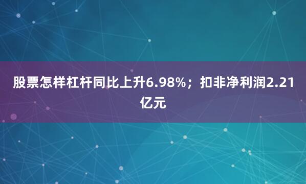股票怎样杠杆同比上升6.98%；扣非净利润2.21亿元