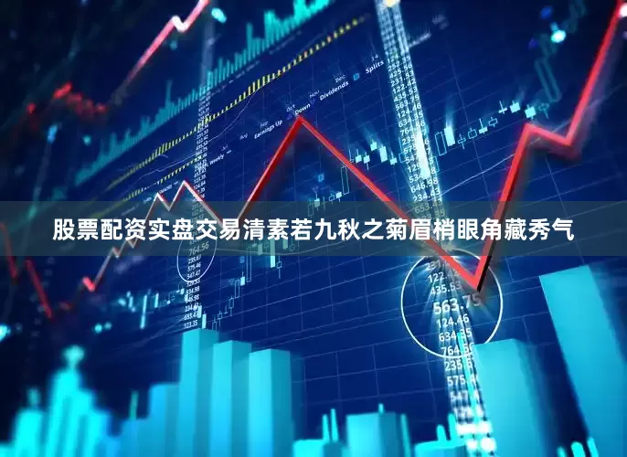 股票配资实盘交易清素若九秋之菊眉梢眼角藏秀气