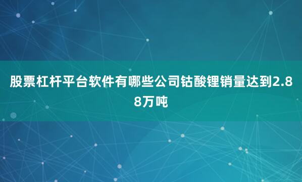 股票杠杆平台软件有哪些公司钴酸锂销量达到2.88万吨