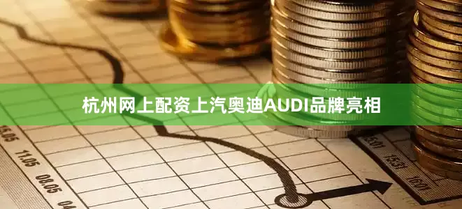 杭州网上配资上汽奥迪AUDI品牌亮相